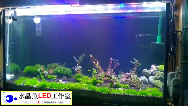 3呎 (88cm ) LED水族燈:　3呎 水草缸